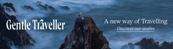 Blick aufs Meer mit Storch im Vordergrund