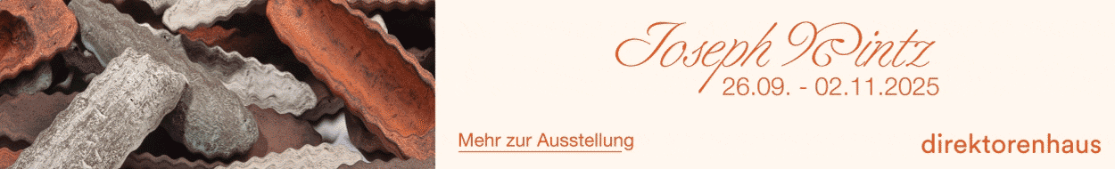 Bunte, wellenförmige Papierstreifen in Erdtönen, umrahmt von einem Text zur Ausstellung von Joseph Pintz.