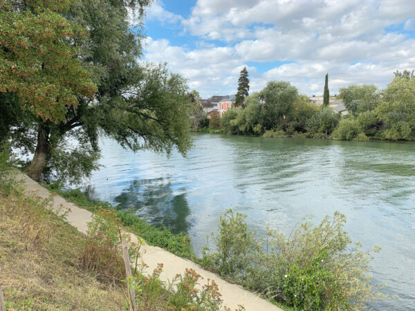 Ruhige Flusslandschaft an der Marne mit Bäumen und Ufervegetation, unter einem bewölkten Himmel.